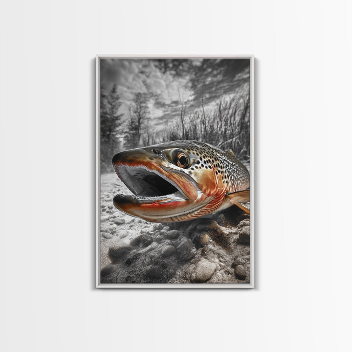 Brown Trout Closeup, Riverbed Focus, Dramatic Fish Art, Framed Canvas Print, Fisherman Gift, Cabin Wall Art, Rustic Outdoor Decor