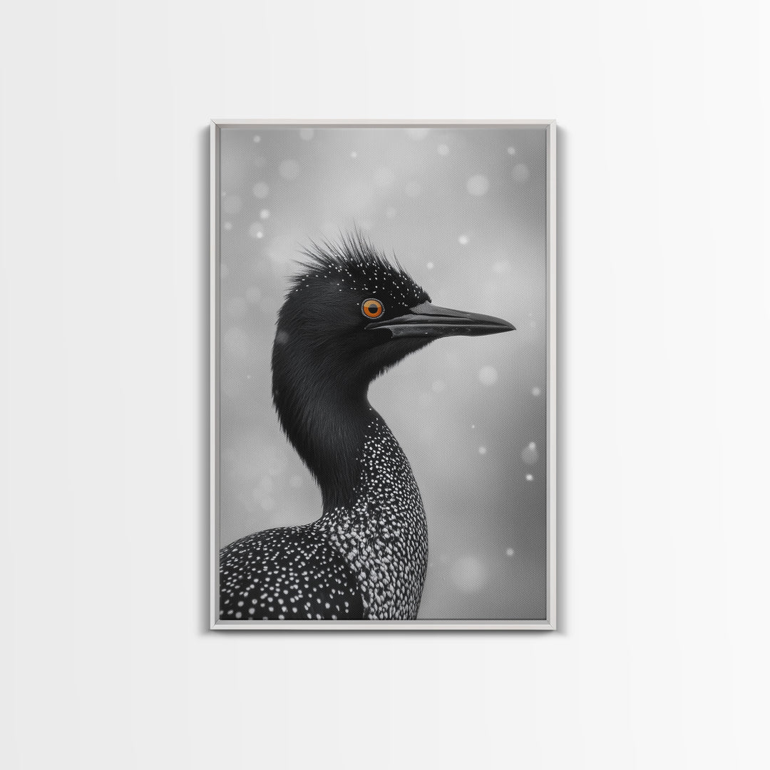 Black Loon, Bird Closeup, Snowy Glow, Winter Nature Canvas Print, Wildlife Wall Art, Modern Bedroom Decor, Birdwatcher Gift Print