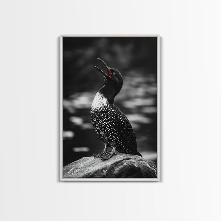 Loon Call, Singing Bird, Red Beak, Monochrome Framed Canvas Print, Wildlife Wall Decor, Bird Lover Wall Art, Rustic Cabin Accent
