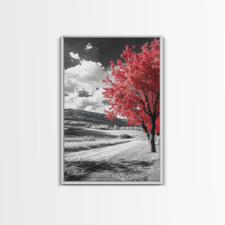 Autumn Red Tree, Scenic Road, Countryside Field, Framed Canvas Print, Fall Wall Art, Rustic Home Decor, Nature Photography, Office Accent