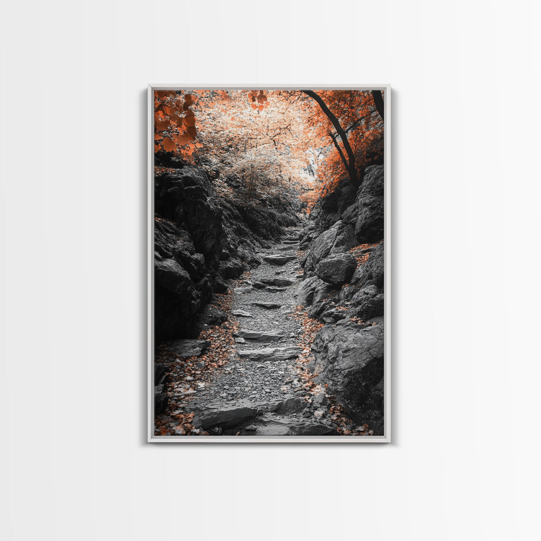 Rocky Trail, Autumn Leaves, Forest Path, Framed Canvas Print, Fall Nature Wall Art, Rustic Entryway Decor, Hiking Landscape Art