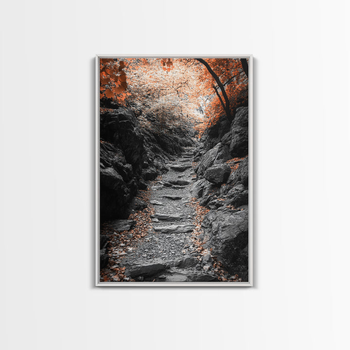 Rocky Trail, Autumn Leaves, Forest Path, Framed Canvas Print, Fall Nature Wall Art, Rustic Entryway Decor, Hiking Landscape Art