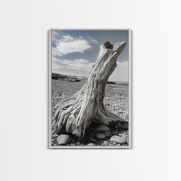 Coastal Driftwood, Beach Stump, Pebble Shore, Framed Canvas Print, Rustic Wall Art, Bathroom Decor, Earthy Beach House Accent