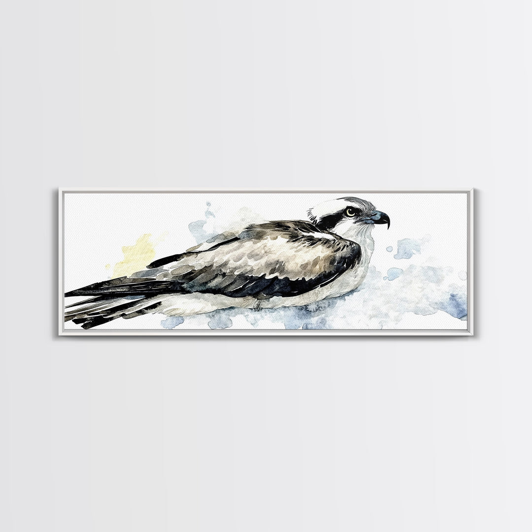 Flying Osprey Watercolor Wall Art, Black And White Bird Canvas Print, Wildlife Fine Art Print, Coastal Nature Decor Gift