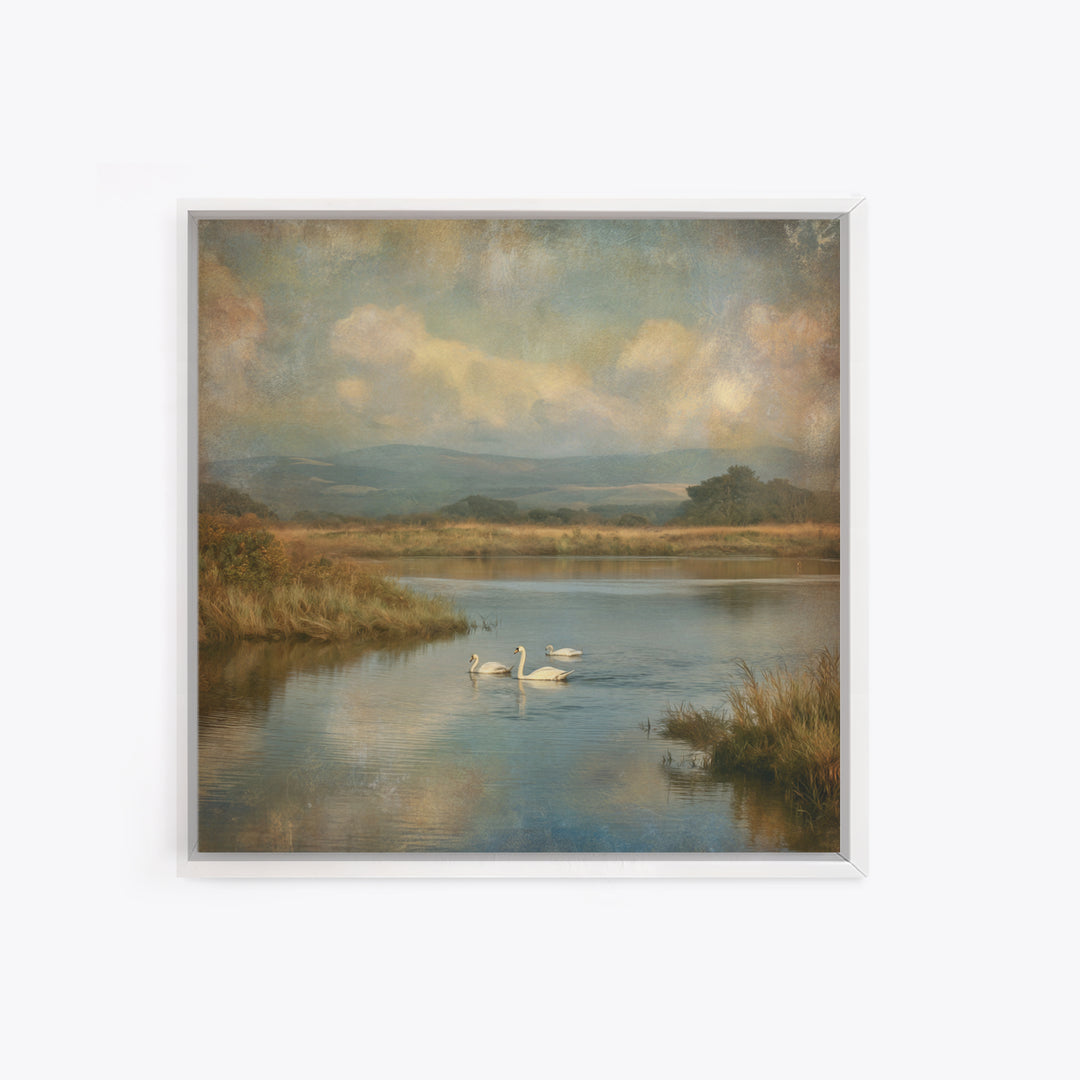 Paired Swans in a Dreamy Painterly Lake Canvas Print, Above Bed Art, Boho Wall Art, Bedroom Decor, Fine Art, Serenity, ABA-1x1-22