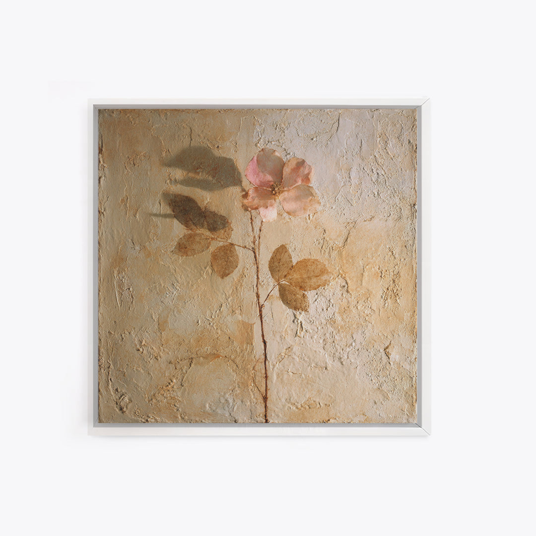 Tonal Botanical Shadows on Plaster Surface Canvas Print, Above Bed Art, Photography Prints, Bedroom Decor, Serenity, ABA-1x1-71