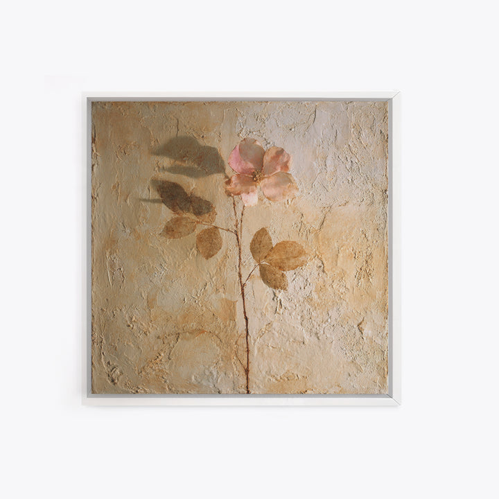 Tonal Botanical Shadows on Plaster Surface Canvas Print, Above Bed Art, Photography Prints, Bedroom Decor, Serenity, ABA-1x1-71