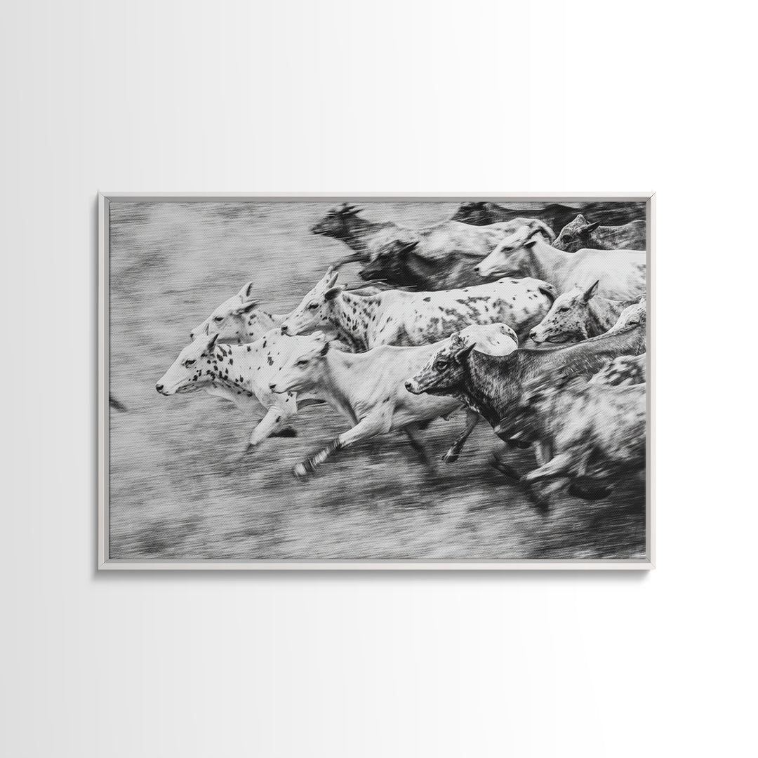 Black And White Running Cattle Wall Art, African Safari Animal Print, Rustic Farmhouse Decor, Western Herd Canvas Artwork