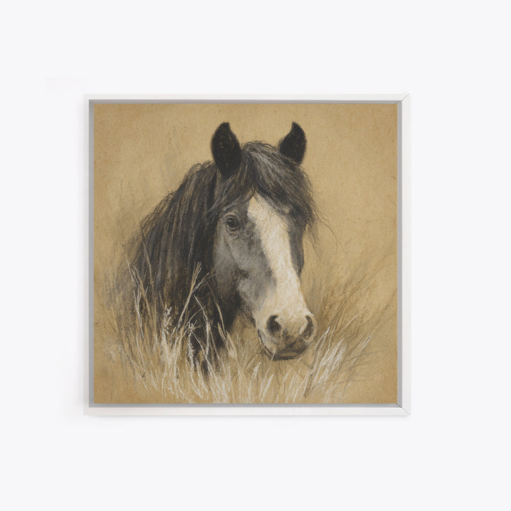 Majestic Horse Head Framed Canvas Print, Animal Art, Nursery Wall Art, Living Room Decor, Fine Art, Creature, Trendy Wall Art, ANI-1x1-27