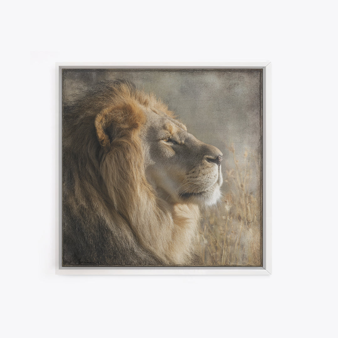 Regal Lion Profile Framed Canvas Print, Animal Art, Statement Artwork, Living Room Decor, Abstract Art, Creature, Wall Decor, ANI-1x1-33