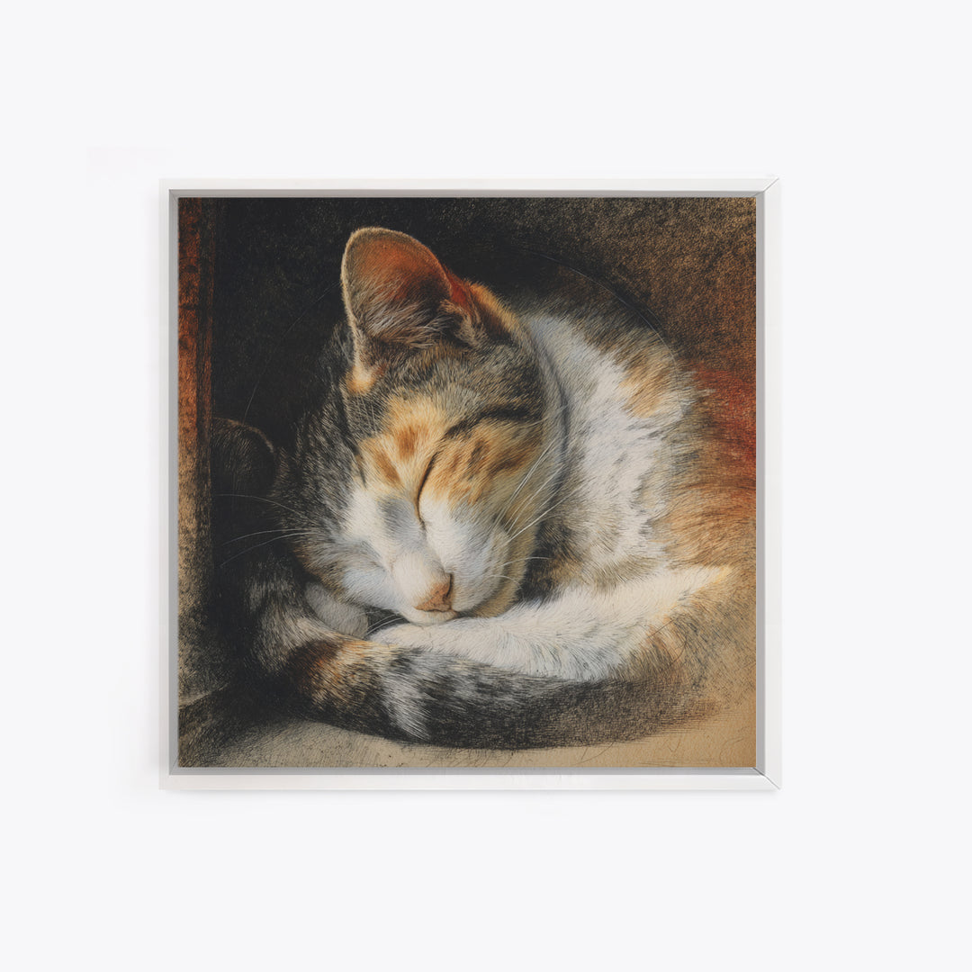 Sleeping Cat Curled Canvas Print, Animal Art, Nursery, Living Room Decor, Fine Art, Creature, Modern Decor, Fine Art Print, ANI-1x1-60