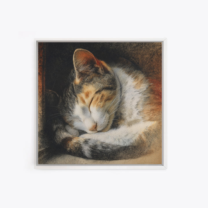 Sleeping Cat Curled Canvas Print, Animal Art, Nursery, Living Room Decor, Fine Art, Creature, Modern Decor, Fine Art Print, ANI-1x1-60