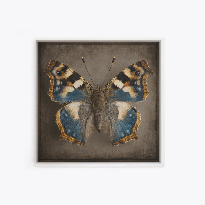 Butterfly Specimen Composition Canvas Print, Animal Art, Neutral Decor, Living Room Decor, Fine Art, Creature, Wall Art, ANI-1x1-95