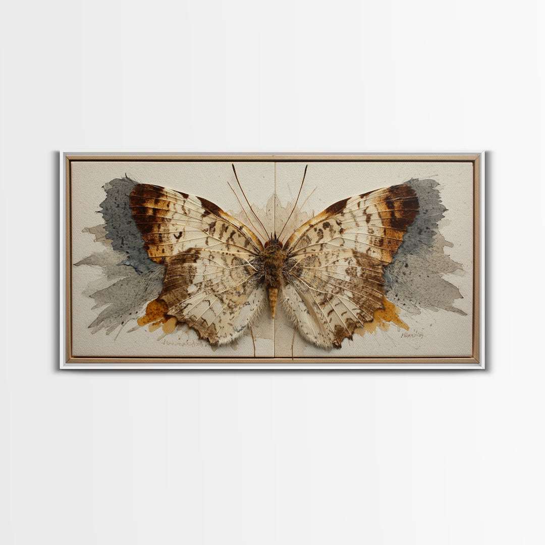 Butterfly Specimen Composition Framed Canvas Print, Animal Art, Digital Prints, Living Room Decor, Fine Art, Creature, ANI-2x1-43