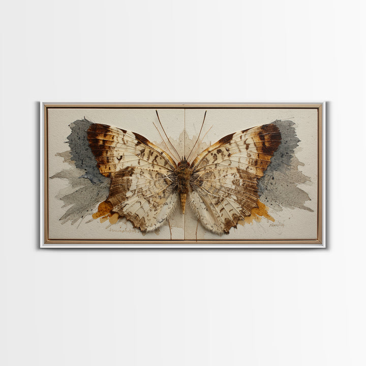 Butterfly Specimen Composition Framed Canvas Print, Animal Art, Digital Prints, Living Room Decor, Fine Art, Creature, ANI-2x1-43