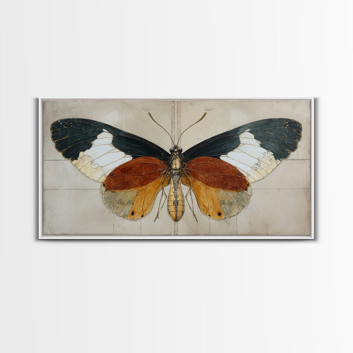 Butterfly Specimen Composition Framed Canvas Print, Animal Art, Digital Art, Living Room Decor, Creature, Farmhouse Decor, ANI-2x1-91
