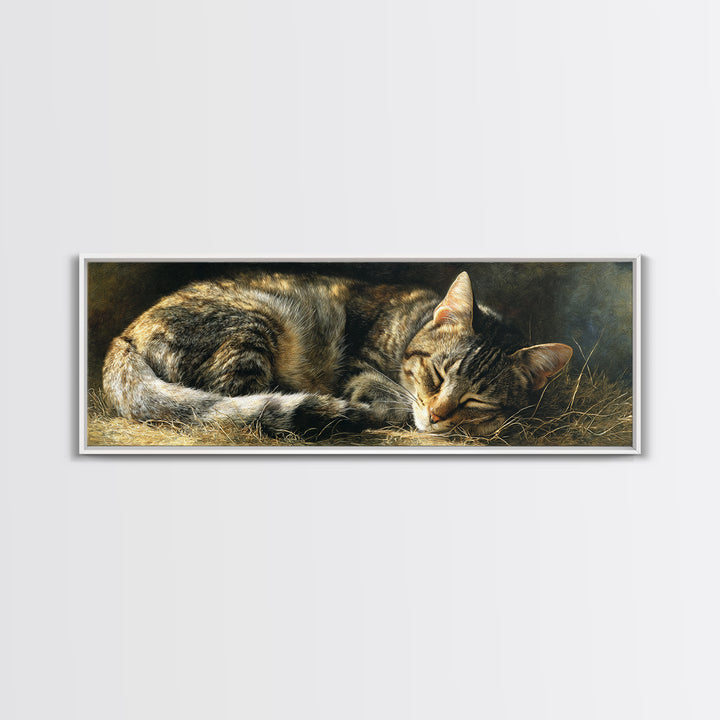 Sleeping Cat Curled Framed Canvas Print, Animal Art, Room Decor, Living Room Decor, Abstract Art, Creature, Printable, ANI-3x1-52