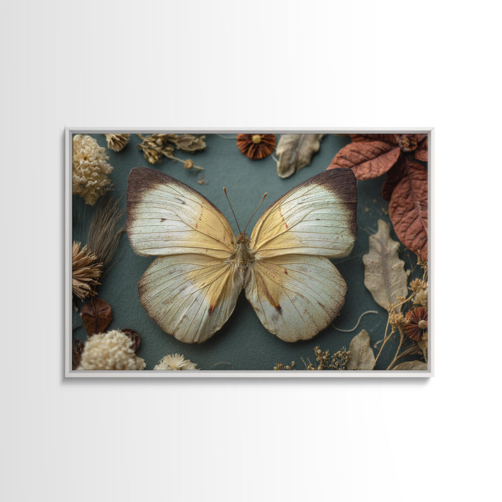 Butterfly Specimen Composition Canvas Print, Animal Art, Nursery Art, Living Room Decor, Fine Art, Creature, Luxury Decor, ANI-3x2-51