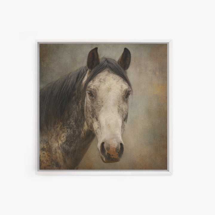 Elegant Animal Portrait Canvas Print, Art, Printable Art, Living Room Decor, Fine Art, Statement Artwork, Boho Decor, ART-1x1-90