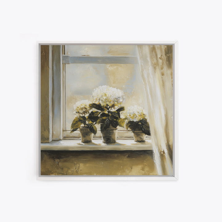 Sunlit Hydrangeas on a Windowsill Canvas Print, Bed and Breakfast Art, Trendy Wall Art, Living Room Decor, Fine Art, BAB-1x1-10