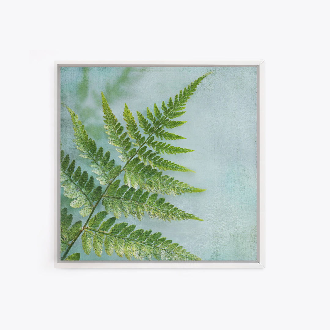Green Fern Frond Closeup Canvas Print, Bathroom Art, Bathroom Prints, Bathroom Decor, Fine Art, Spa, Trendy Wall Art, BAT-1x1-10