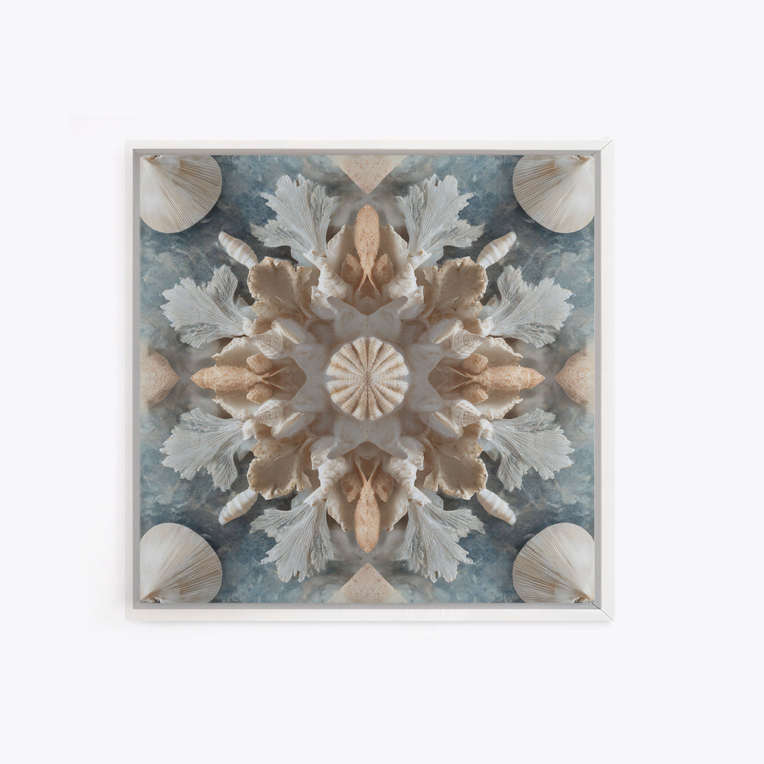 Coral and Shell Arrangement Framed Canvas Print, Bathroom Art, Bathroom Decor, Fine Art, Spa, Bathroom Accessories, Modern Art, BAT-1x1-11