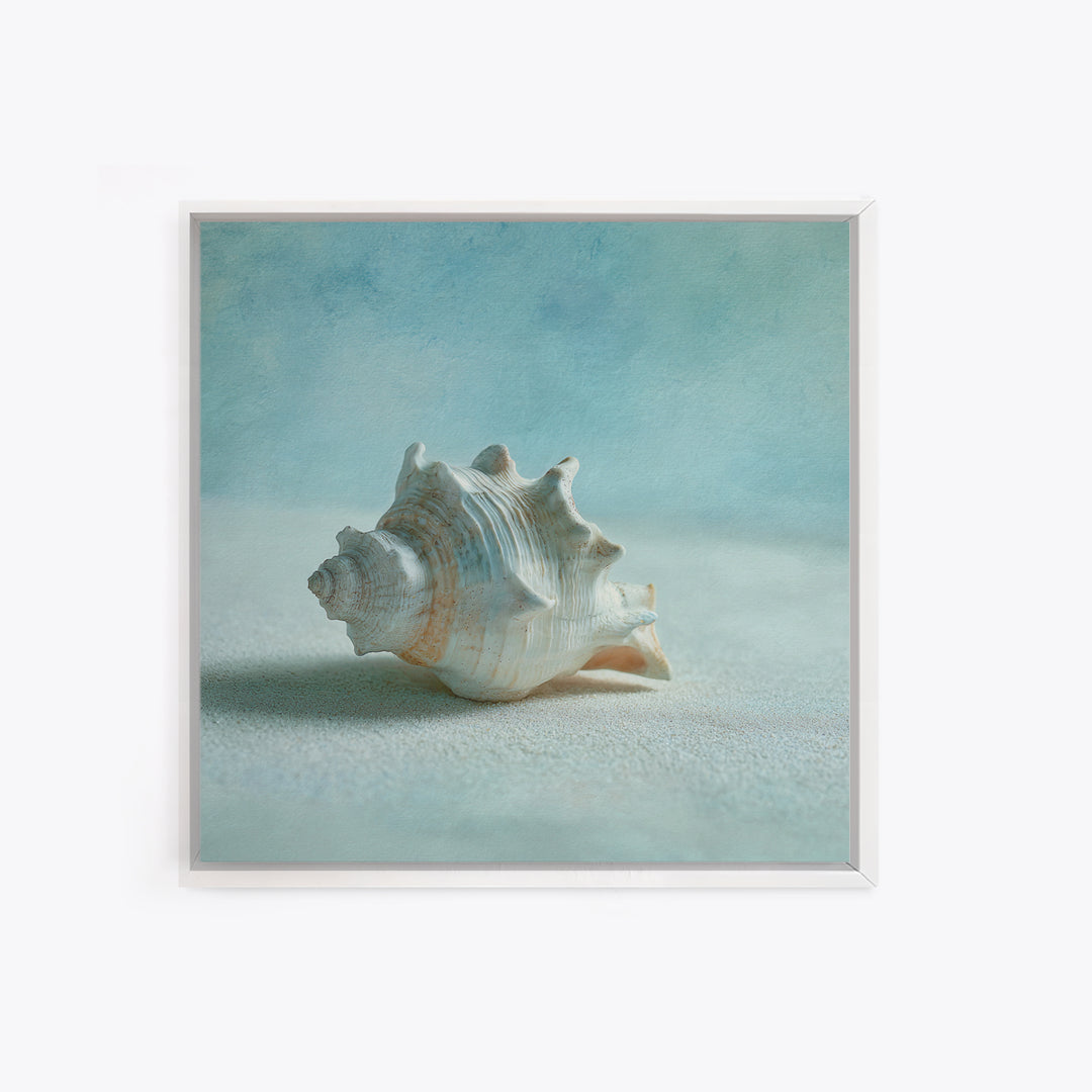 Minimal Seashell Still Life on Pale Sand Canvas Print, Bathroom Art, Custom Pet Portrait, Bathroom Decor, Abstract Art, Spa, BAT-1x1-3