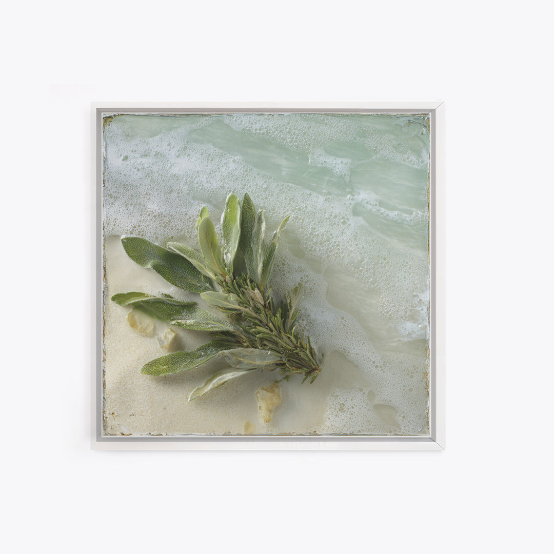Botanical Bath Herb Arrangement Framed Canvas Print, Bathroom Art, Minimalist Wall Art, Bathroom Decor, Oil Painting, Spa, BAT-1x1-41