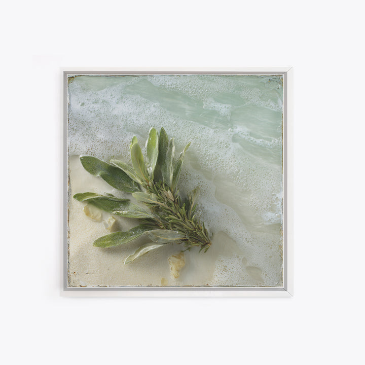 Botanical Bath Herb Arrangement Framed Canvas Print, Bathroom Art, Minimalist Wall Art, Bathroom Decor, Oil Painting, Spa, BAT-1x1-41