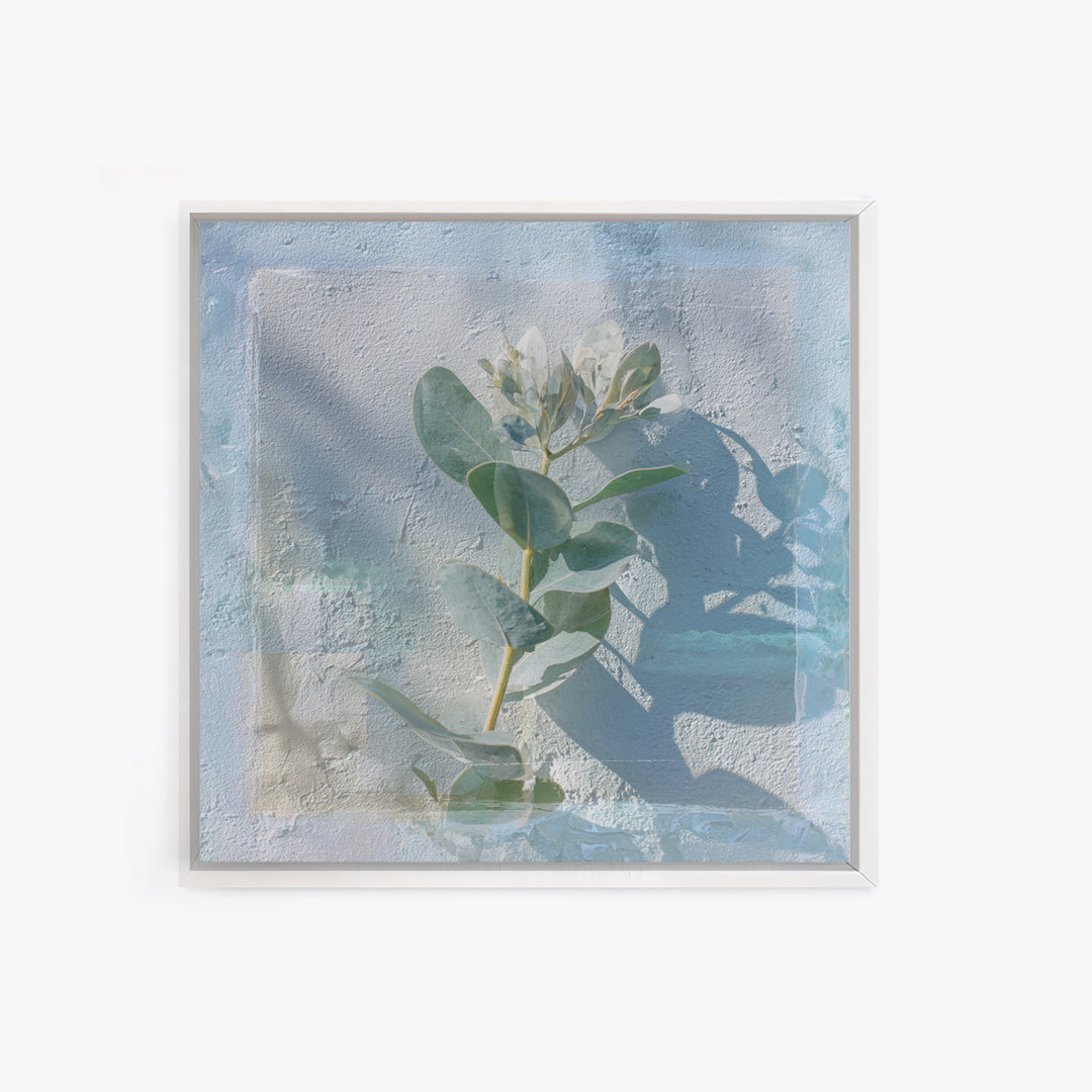 Sunlit Window Plant Shadow on Plaster Framed Canvas Print, Bathroom Art, Unique Wall Art, Bathroom Decor, Abstract Art, Spa, BAT-1x1-42