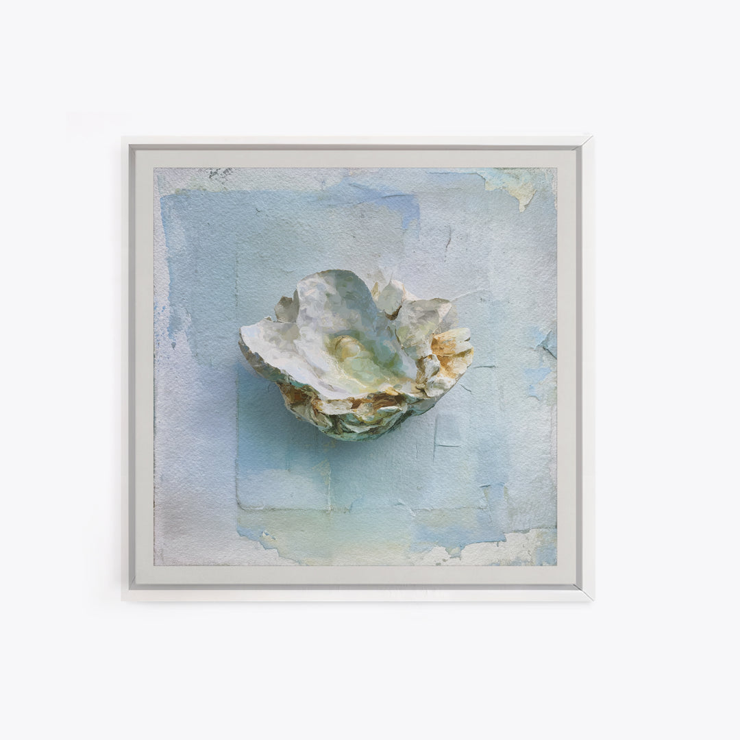 Oyster Shell Study Framed Canvas Print, Bathroom Art, Modern Wall Art, Bathroom Decor, Fine Art, Spa, Wall Decor, Neutral Decor, BAT-1x1-46