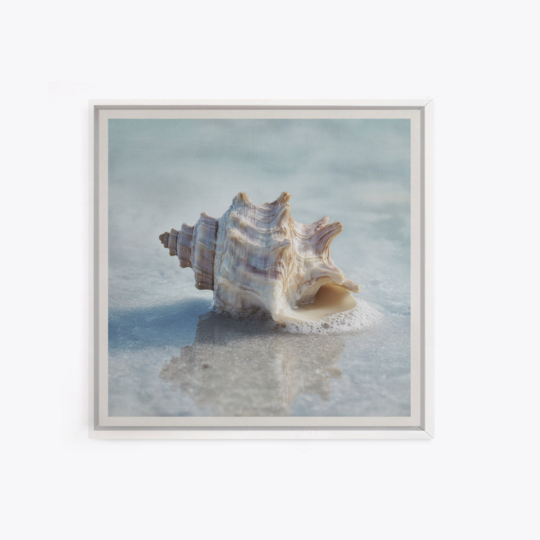 Minimal Seashell Still Life on Pale Sand Framed Canvas Print, Bathroom Art, Minimalist Wall Art, Bathroom Decor, Oil Painting, BAT-1x1-51