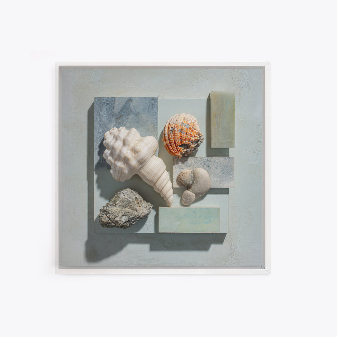 Coral and Shell Arrangement Canvas Print, Bathroom Art, Funny Bathroom Art, Bathroom Decor, Fine Art, Spa, Art Print, BAT-1x1-59