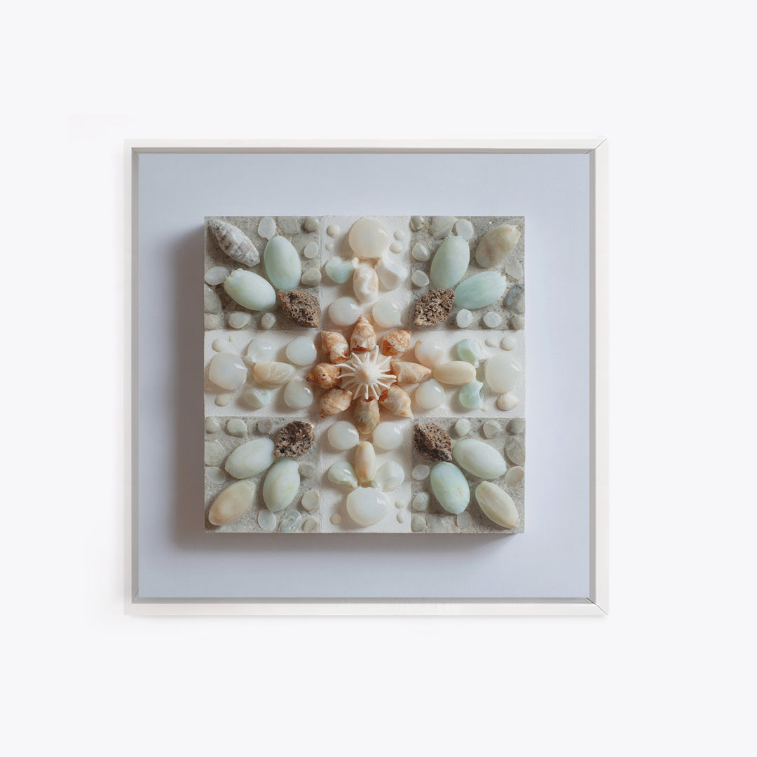 Coral and Shell Arrangement Framed Canvas Print, Bathroom Art, Neutral Decor, Bathroom Decor, Fine Art, Spa, Wall Art, BAT-1x1-83