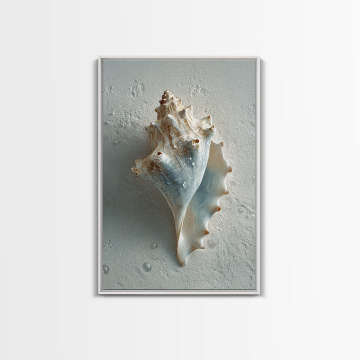 Minimal Seashell Still Life on Pale Sand Canvas Print, Bathroom Art, Modern Wall Art, Bathroom Decor, Abstract Art, Spa, BAT-2x3-11
