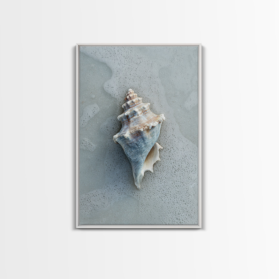 Minimal Seashell Still Life on Pale Sand Framed Canvas Print, Bathroom Art, Digital Art, Bathroom Decor, Abstract Art, Spa, BAT-2x3-83
