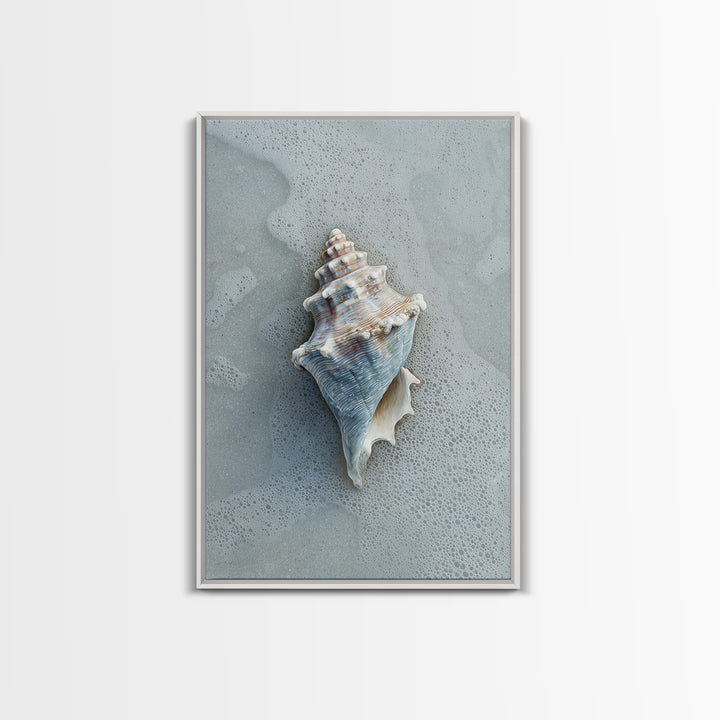 Minimal Seashell Still Life on Pale Sand Framed Canvas Print, Bathroom Art, Digital Art, Bathroom Decor, Abstract Art, Spa, BAT-2x3-83