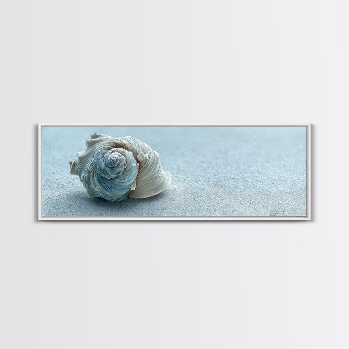 Minimal Seashell Still Life on Pale Sand Canvas Print, Bathroom Art, Bathroom Print, Bathroom Decor, Fine Art, Spa, BAT-3x1-91