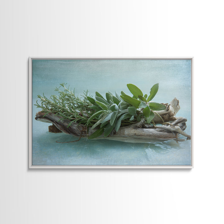 Botanical Bath Herb Arrangement Canvas Print, Bathroom Art, Bathroom Decor, Fine Art, Spa, Bathroom Accessories, Modern Art, BAT-3x2-21