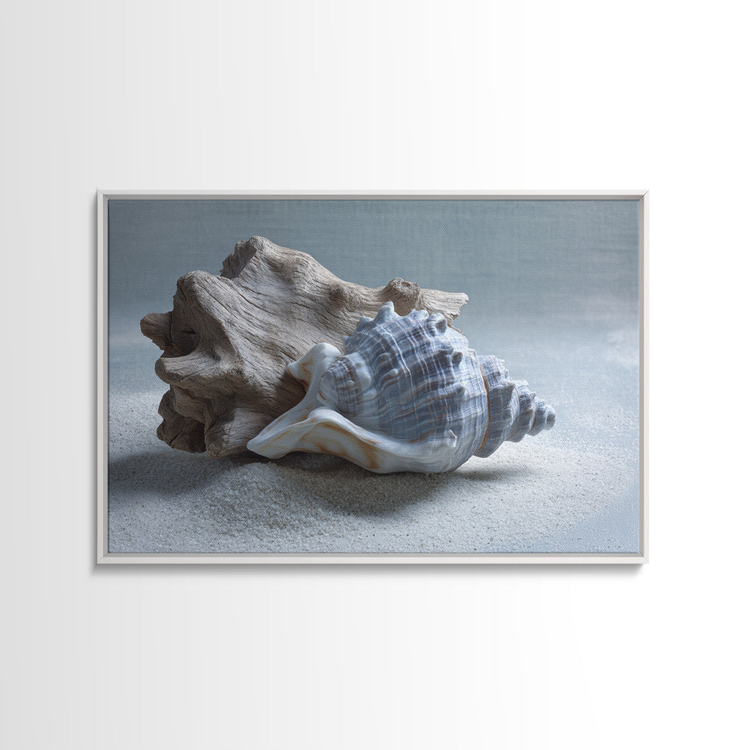 Minimal Seashell Still Life on Pale Sand Framed Canvas Print, Bathroom Art, Canvas Wall Art, Bathroom Decor, Fine Art, Spa, BAT-3x2-31