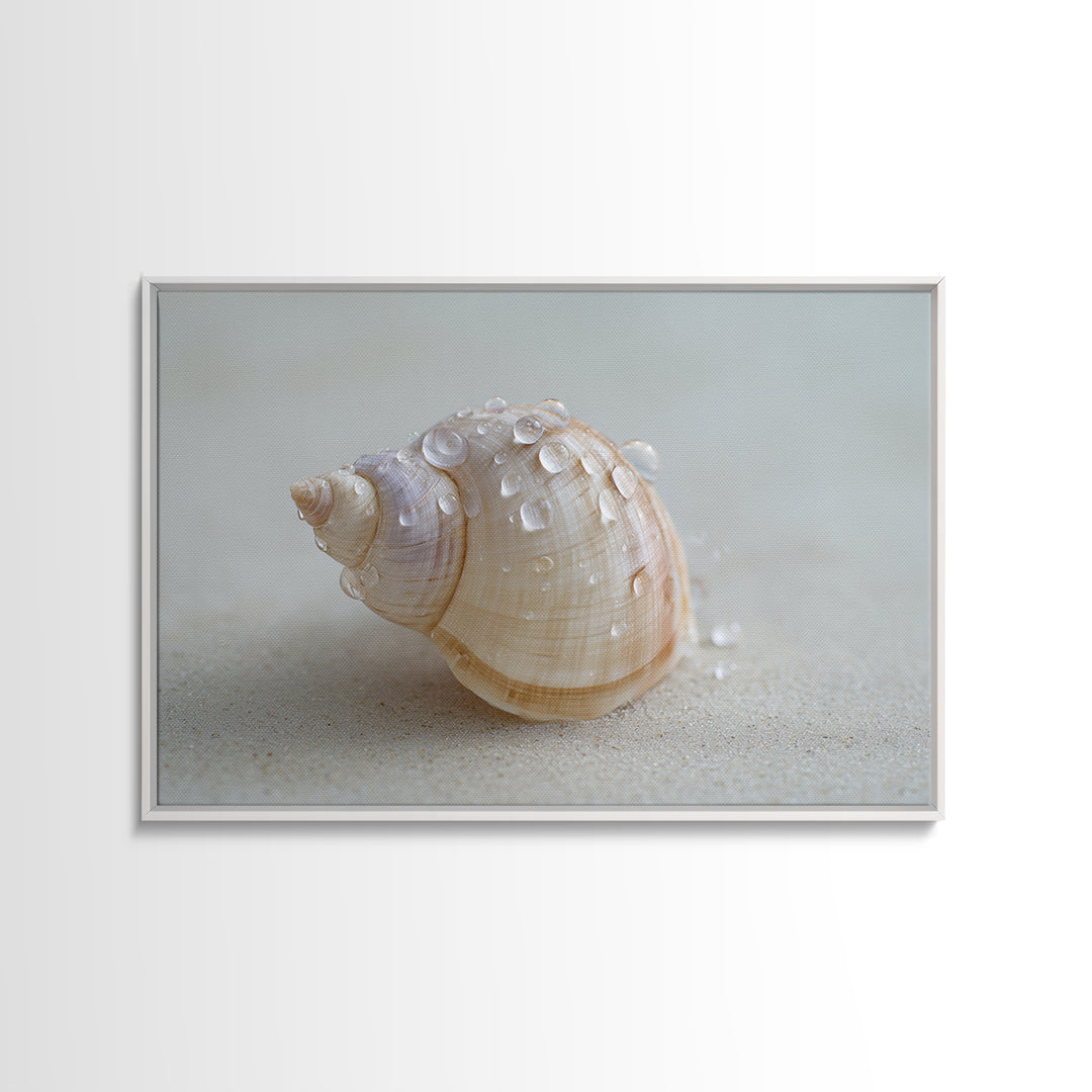 Minimal Seashell Still Life on Pale Sand Framed Canvas Print, Bathroom Art, Boho Decor, Bathroom Decor, Oil Painting, Spa, BAT-3x2-55
