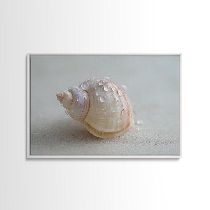 Minimal Seashell Still Life on Pale Sand Framed Canvas Print, Bathroom Art, Boho Decor, Bathroom Decor, Oil Painting, Spa, BAT-3x2-55