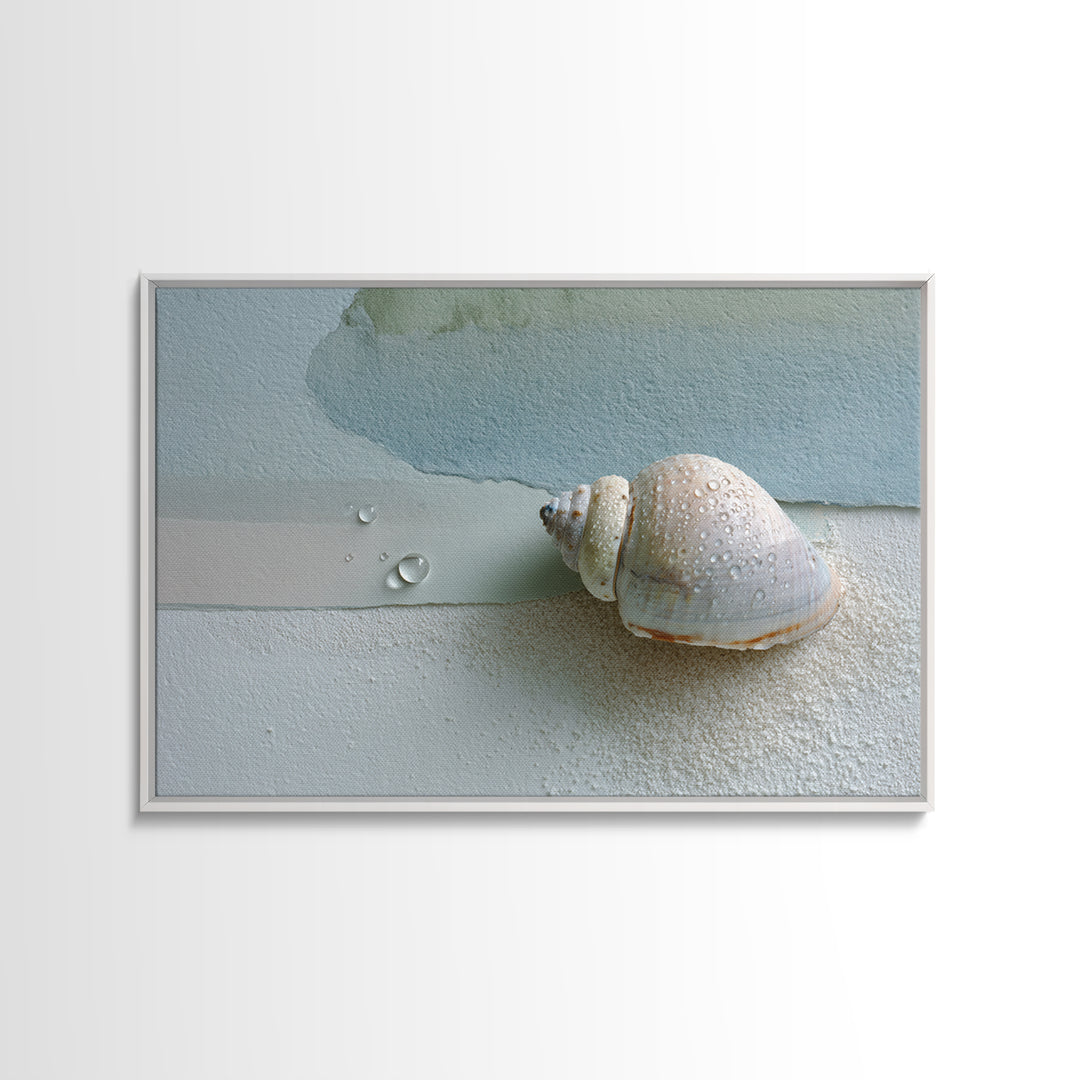 Minimal Seashell Still Life on Pale Sand Framed Canvas Print, Bathroom Art, Statement Artwork, Bathroom Decor, Abstract Art, BAT-3x2-7