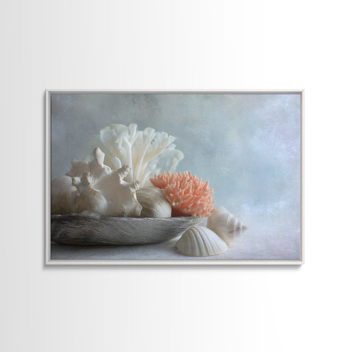 Coral and Shell Arrangement Framed Canvas Print, Bathroom Art, Bathroom Accessories, Bathroom Decor, Spa, Fine Art Print, BAT-3x2-87