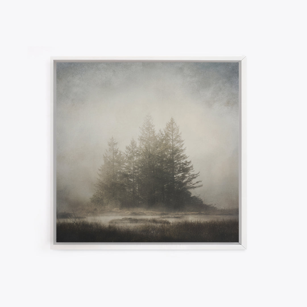 Moody Foggy Forest Canvas Print, Black and White Art, Printable Art, Living Room Decor, Fine Art, Monochrome, Gallery Decor, BAW-1x1-31