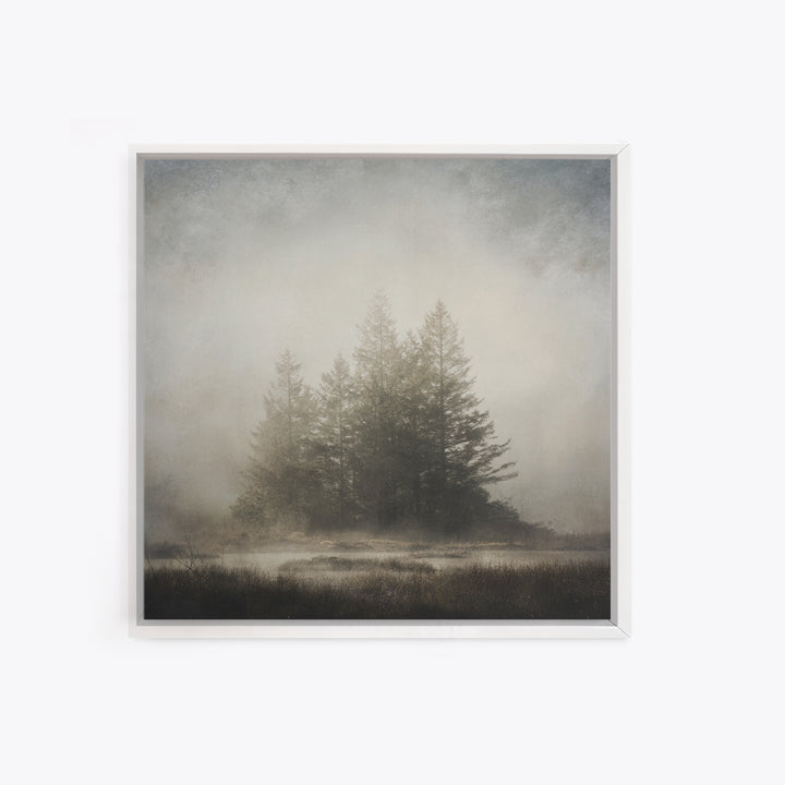 Moody Foggy Forest Canvas Print, Black and White Art, Printable Art, Living Room Decor, Fine Art, Monochrome, Gallery Decor, BAW-1x1-31