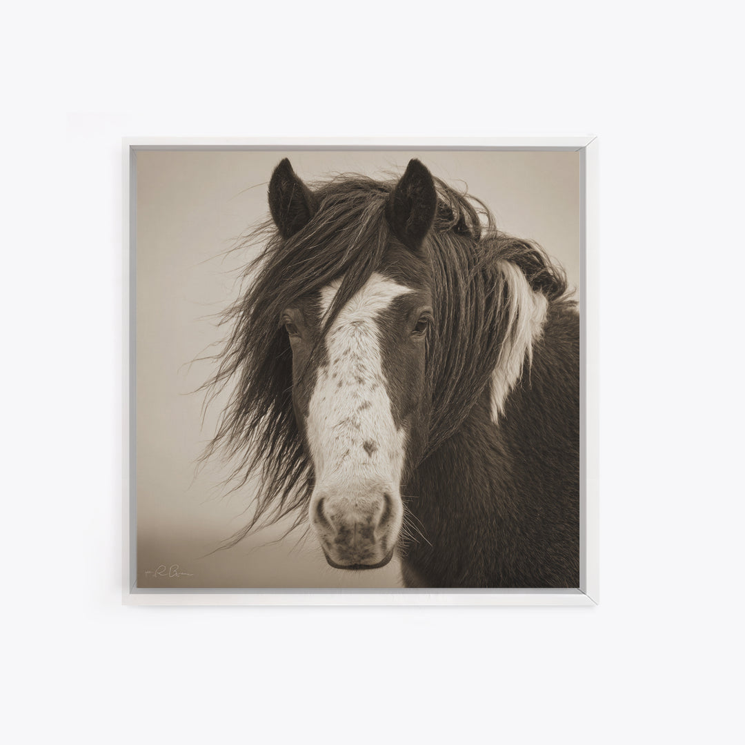 Black and White Wild Horse Portrait Framed Canvas Print, Black and White Art, Textured Painting, Living Room Decor, Monochrome, BAW-1x1-53