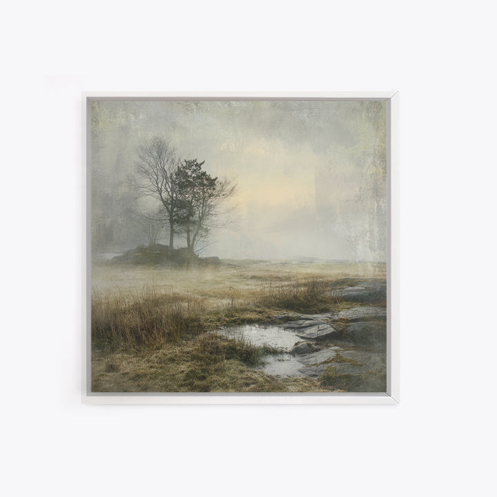 Moody Foggy Forest Framed Canvas Print, Black and White Art, Boho Decor, Living Room Decor, Monochrome, Halloween Decor, BAW-1x1-79