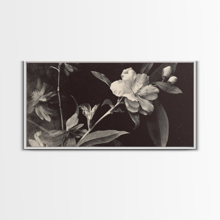 Black and White Botanical Specimen Plate Canvas Print, Black and White Art, Cabin Decor, Living Room Decor, Monochrome, BAW-2x1-19