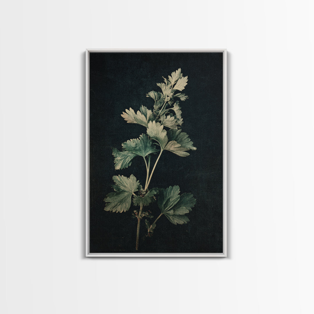 Black and White Botanical Specimen Plate Canvas Print, Black and White Art, Fine Art Print, Living Room Decor, Monochrome, BAW-2x3-7